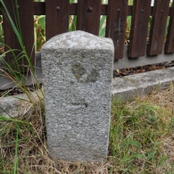 Obrázek