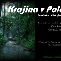 Obrázek