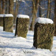 Obrázek