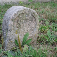Obrázek
