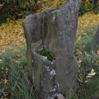 Obrázek