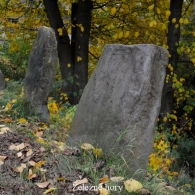 Obrázek