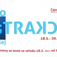 Obrázek