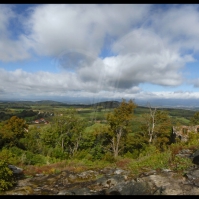 Obrázek