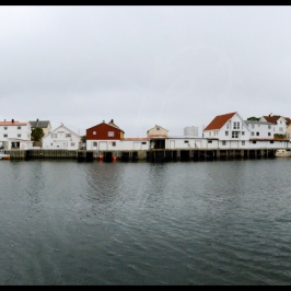 Obrázek
